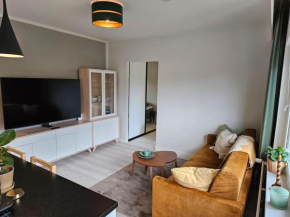 City Apartment Aarneenkallio & free parking Kuopio